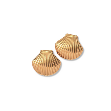 Bermuda Shell Earrings
